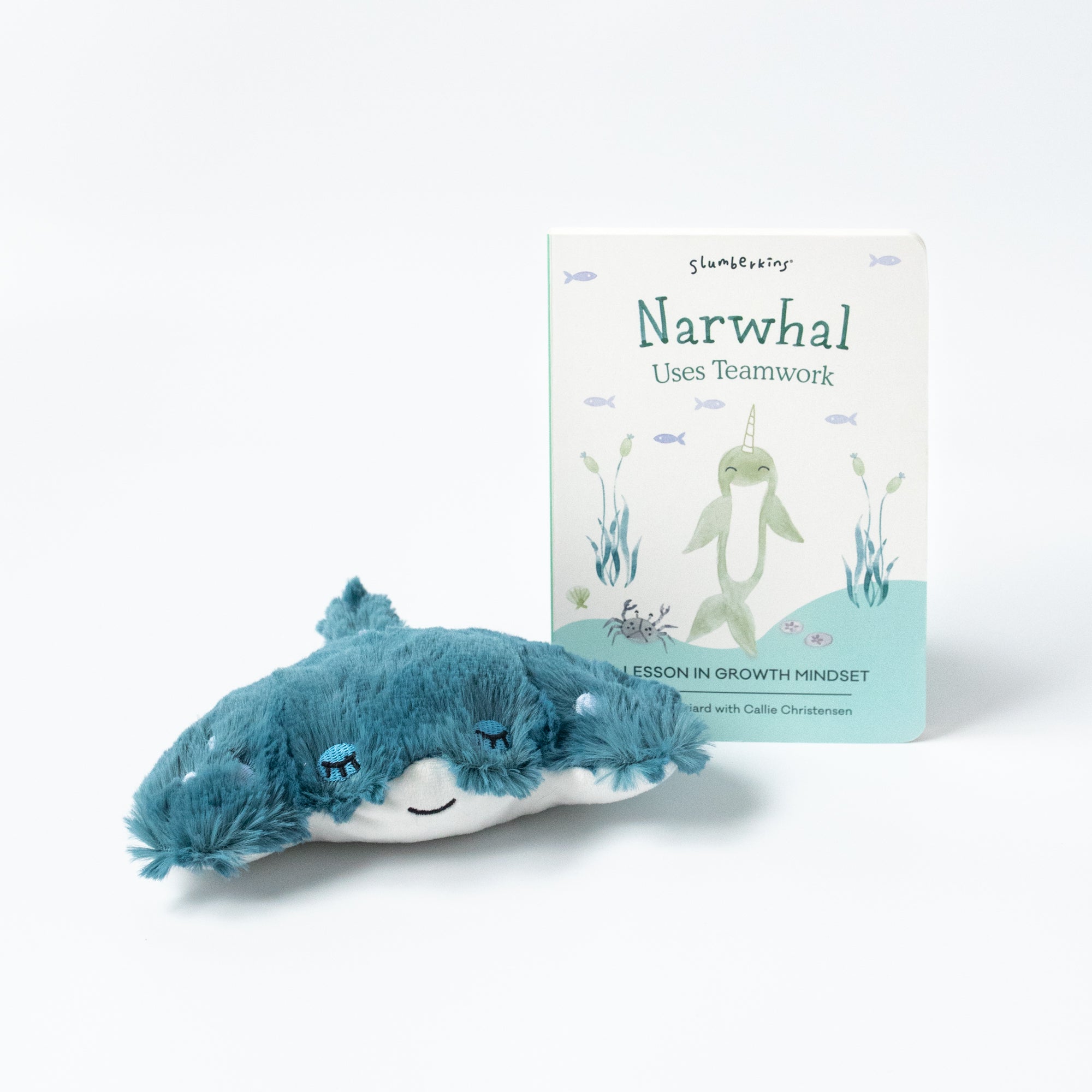 Manta Ray Mini + Narwhal Lesson Book